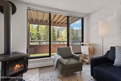 425 Vine Street #425, Aspen, CO 81611 - Photo 4