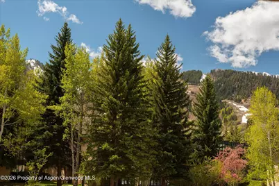 425 Vine Street #425, Aspen, CO 81611 - Photo 18