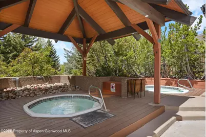 425 Vine Street #425, Aspen, CO 81611 - Photo 22