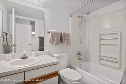 425 Vine Street #425, Aspen, CO 81611 - Photo 14