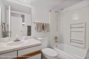 425 Vine St, Aspen, CO 81611 - Photo 14
