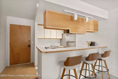 425 Vine Street #425, Aspen, CO 81611 - Photo 8