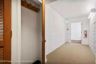 425 Vine Street #425, Aspen, CO 81611 - Photo 16