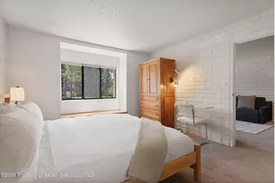 425 Vine Street #425, Aspen, CO 81611 - Photo 10