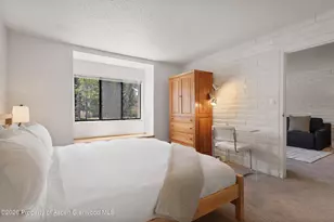 425 Vine St, Aspen, CO 81611 - Photo 10