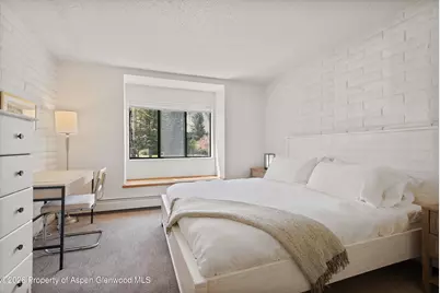 425 Vine Street #425, Aspen, CO 81611 - Photo 12
