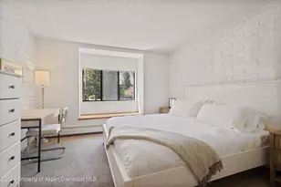 425 Vine St, Aspen, CO 81611 - Photo 12