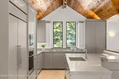 437 W Smuggler Street, Aspen, CO 81611 - Photo 12