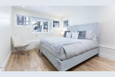 437 W Smuggler Street, Aspen, CO 81611 - Photo 22