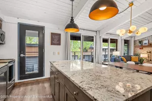 1039 E Cooper Ave, Aspen, CO 81611 - Photo 8