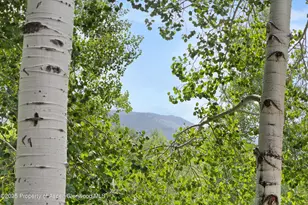 1443 Crystal Lake Rd, Aspen, CO 81611 - Photo 30