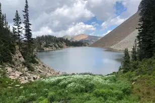 275 Aspen (Mountain Cabin) Dr, Walden, CO 80480 - Photo 4