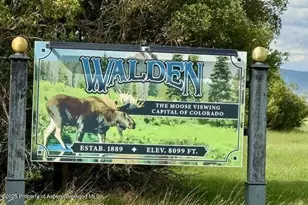 275 Aspen (Mountain Cabin) Dr, Walden, CO 80480 - Photo 44