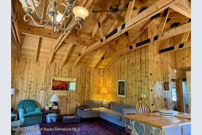 275 Aspen (Mountain Cabin) Drive, Walden, CO 80480 - Photo 12