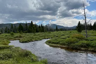 275 Aspen (Mountain Cabin) Dr, Walden, CO 80480 - Photo 2