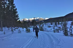 275 Aspen (Mountain Cabin) Dr, Walden, CO 80480 - Photo 8
