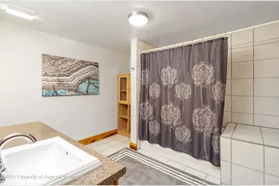 228 Midland Point Road, Carbondale, CO 81623 - Photo 28