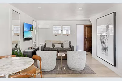 124 E Durant Avenue #7, Aspen, CO 81611 - Photo 8