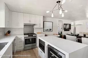 124 E Durant Ave, Aspen, CO 81611 - Photo 2