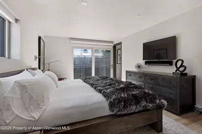 124 E Durant Avenue #7, Aspen, CO 81611 - Photo 10