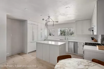 124 E Durant Avenue #7, Aspen, CO 81611 - Photo 4