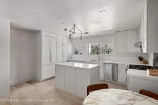 124 E Durant Ave, Aspen, CO 81611 - Photo 4