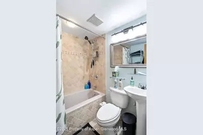 732 Minter Avenue, Glenwood Springs, CO 81601 - Photo 14