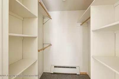 311 Midland Avenue, Aspen, CO 81611 - Photo 14