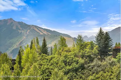 927 Red Mountain Road, Aspen, CO 81611 - Photo 32