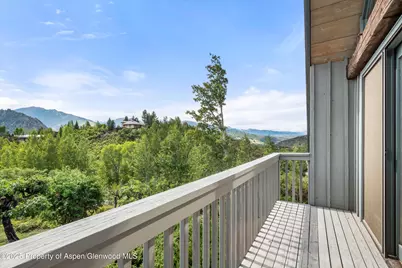 927 Red Mountain Road, Aspen, CO 81611 - Photo 28