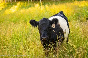 8500 & Tbd Snowmass Creek Rd, Snowmass, CO 81654 - Photo 12