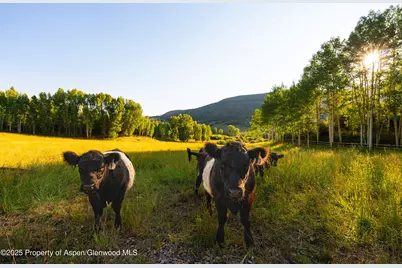 8500 & Tbd Snowmass Creek Road, Snowmass, CO 81654 - Photo 10