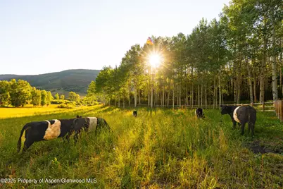 8500 & Tbd Snowmass Creek Road, Snowmass, CO 81654 - Photo 2