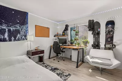 331 Holland Hills Road #Unit 5, Basalt, CO 81621 - Photo 8