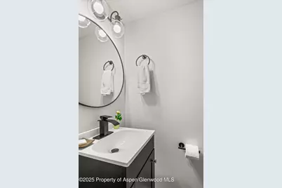 331 Holland Hills Road #Unit 5, Basalt, CO 81621 - Photo 14