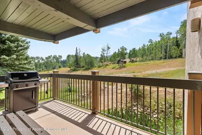 855 Carriage Way #Summit 203, Snowmass Village, CO 81615 - Photo 4