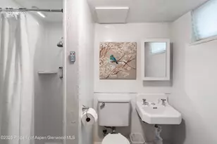 519 Maple St, Glenwood Springs, CO 81601 - Photo 18