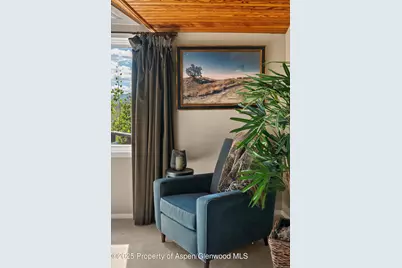 1560 Medicine Bow Road, Aspen, CO 81611 - Photo 30