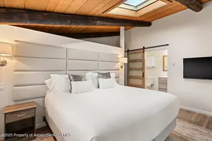 1215 Riverside Dr, Aspen, CO 81611 - Photo 12