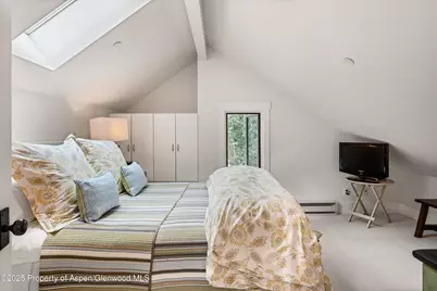 9555 Castle Creek Road, Aspen, CO 81611 - Photo 32