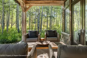 9555 Castle Creek Rd, Aspen, CO 81611 - Photo 10