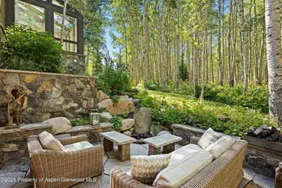 9555 Castle Creek Road, Aspen, CO 81611 - Photo 22