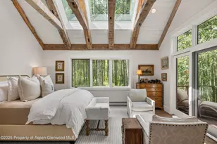 9555 Castle Creek Rd, Aspen, CO 81611 - Photo 14