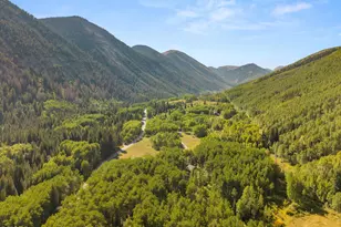 9555 Castle Creek Rd, Aspen, CO 81611 - Photo 42