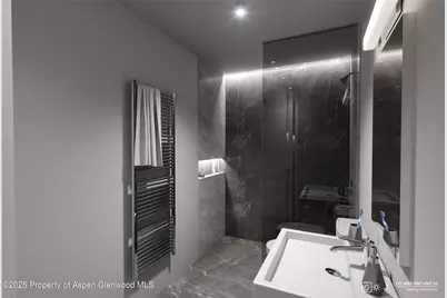 175 Midland Avenue #10, Basalt, CO 81621 - Photo 12