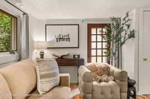 500 W Francis St, Aspen, CO 81611 - Photo 10