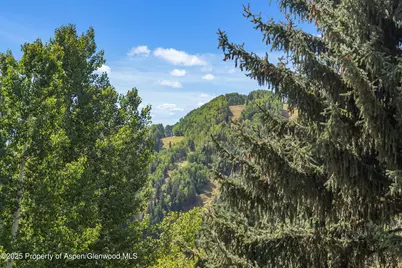 500 W Francis Street #Main House, Aspen, CO 81611 - Photo 8