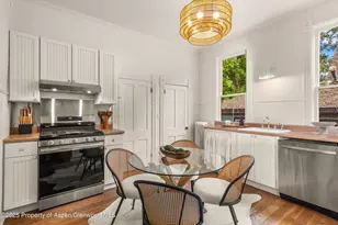 500 W Francis St, Aspen, CO 81611 - Photo 30