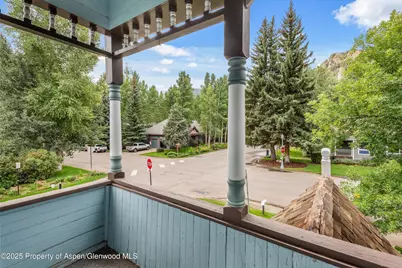 500 W Francis Street, Aspen, CO 81611 - Photo 40