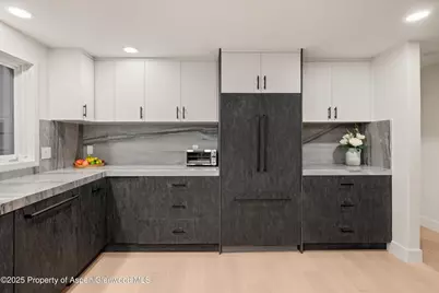 75 Bennett Court, Aspen, CO 81611 - Photo 10